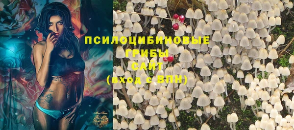 СК Алзамай