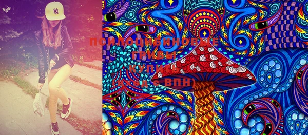 PSILOCYBIN Абаза