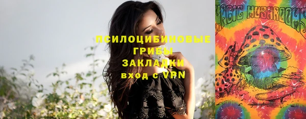 PSILOCYBIN Абаза