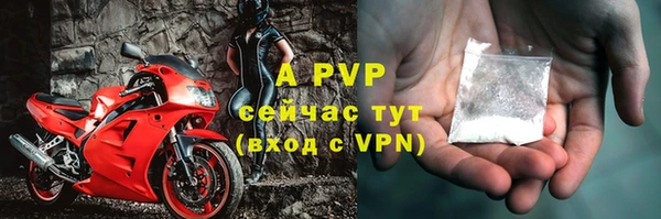 PSILOCYBIN Абаза