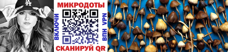 Псилоцибиновые грибы прущие грибы  купить закладку  дарк нет телеграм  Магадан 