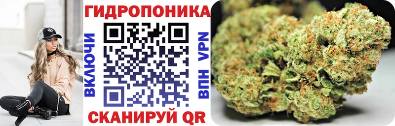 МАРИХУАНА планчик  Магадан 